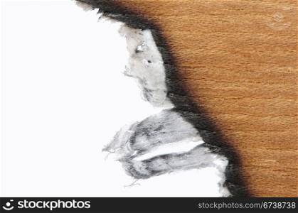 Burned wooden paper and blank space