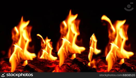 Burning and blazing flames on dark black background.