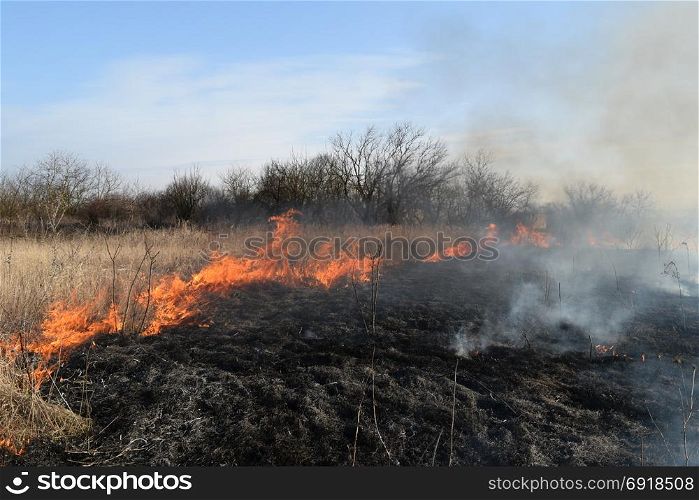 Burning dry grass and reeds. Cleaning the fields and ditches of the thickets of dry grass. Burning dry grass and reeds. Cleaning the fields and ditches of the thickets of dry grass.
