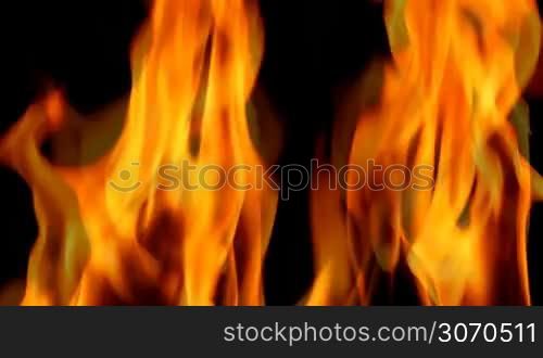 Burning fire on black background