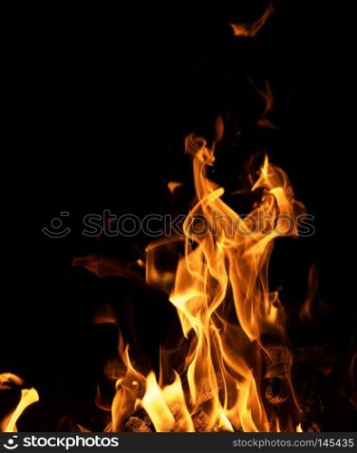 burning fire with smoldering logs on a dark night, close up