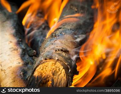Burning fire wood and ember