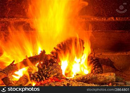 burning firewood in chimney with pine cones and fire
