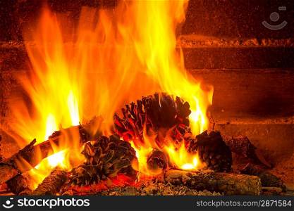 burning firewood in chimney with pine cones and fire