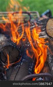 burning firewood in nature. barbecue outdoors