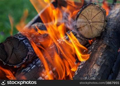 burning firewood in nature. barbecue outdoors