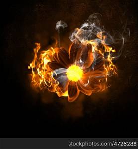 Burning flower. Illustration of flower in fire flames. Danger concept