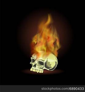 Burning Old Human Skull with Fire Flame on Black Background. Burning Old Human Skull with Fire Flame