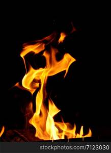 burning wooden logs and large orange flame on a black background, close up