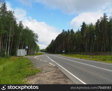 bus stop in the forest