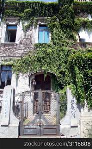 Bush, gate and old house facade in Osijek, Croatia