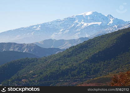 bush in todra gorge morocco africa and snow