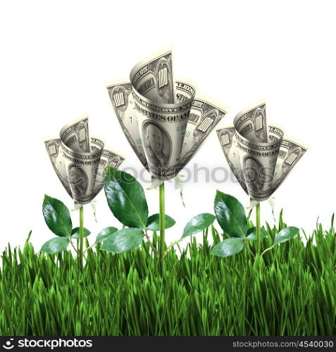 Bush of dollar bills on the green grass against the blue sky. Concept.