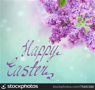 Bush of of purple Lilac flowers on blue sky bokeh background with happy easter greetings. Bush of Lilac
