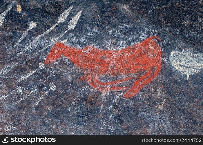 Bushmen  san  rock painting of an antelope, Northern Cape, South Africa 