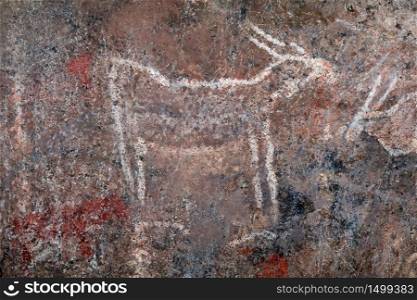 Bushmen (san) rock painting of eland antelopes, Northern Cape, South Africa