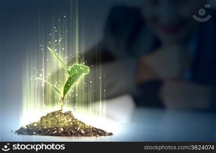 Business and ecology concept. Rising young green sprout