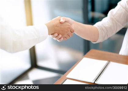 business ceo colleagues hand shaking at a office