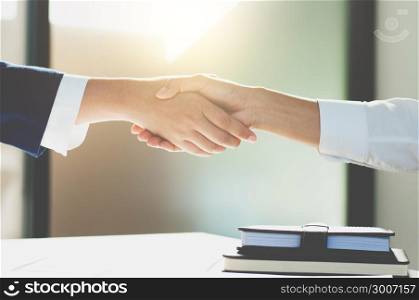 business consultant negotiating a contract hand shaking deal