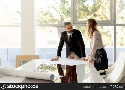 Business couple analyzing project in modern office