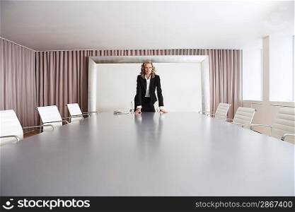 Business Executive Standing in Conference Room