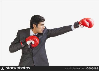 Business executive with boxing gloves