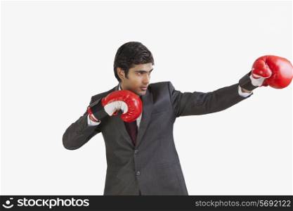 Business executive with boxing gloves