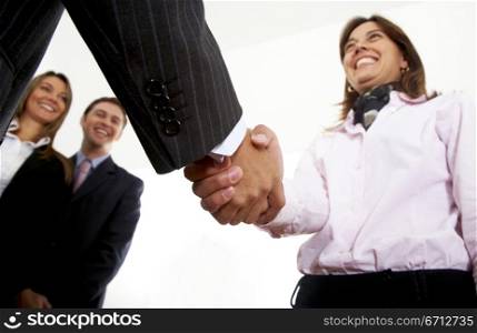business handshake in an office to seal a partnership