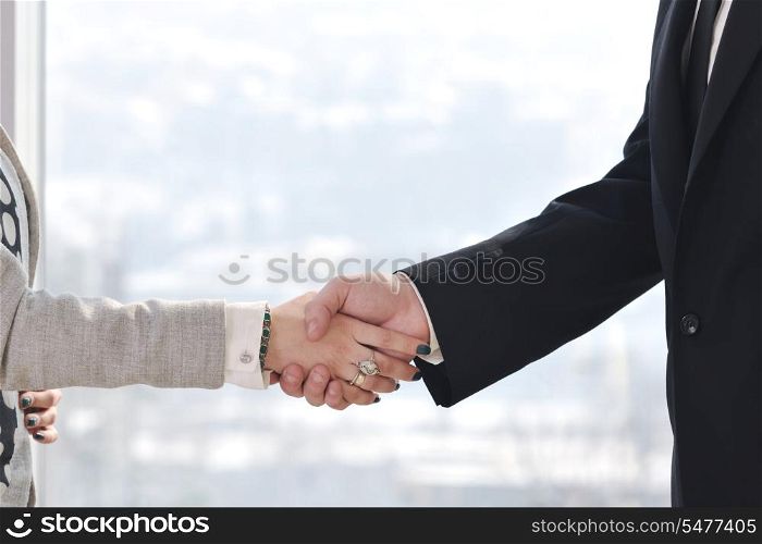 business man and woman handshake on successful meeting at bright office conference room indoor