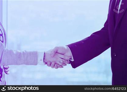 business man and woman handshake on successful meeting at bright office conference room indoor