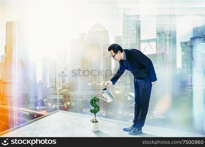Business Man pouring water on dollar shaped tree . Business growth and entrepreneurship concept.