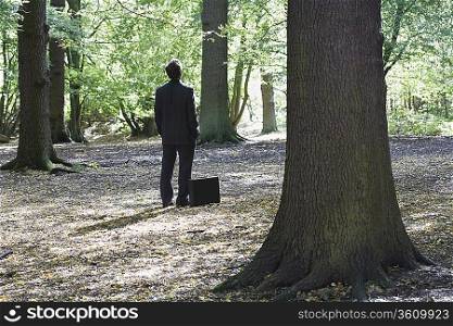 Business man standing with briefcase in middle of forest