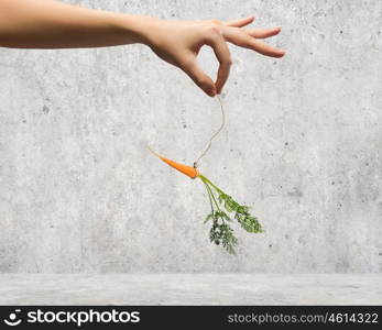 Business motivation. Close up of hand holding stick with carrot dangling on rope