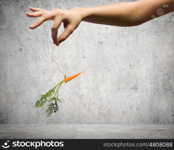 Business motivation. Close up of hand holding stick with carrot dangling on rope
