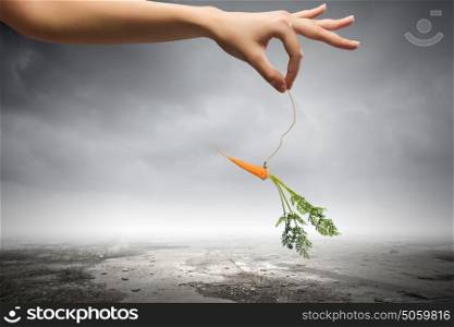 Business motivation. Close up of hand holding stick with carrot dangling on rope