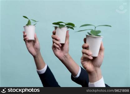 Business people hand holding plant pot on isolated background. Reforestation and eco-conscious regulation in green company to reduce CO2 emission for future environmental sustainability. Quaint. Business people hand holding plant pot on isolated background. Quaint
