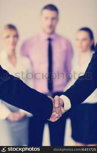 business people team at a meeting in a light and modern office environment.