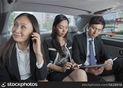 Business People Working in Car Back