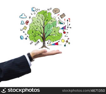 Business plan. Close up of businessman hand with tree in palm