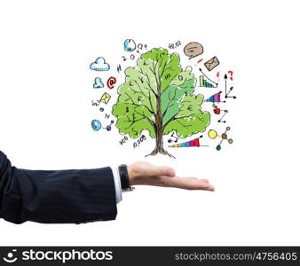 Business plan. Close up of businessman hand with tree in palm