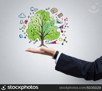 Business plan. Close up of businessman hand with tree in palm