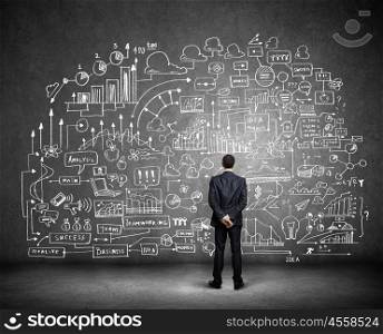 Business planning. Rear view of businessman looking at business sketch on wall