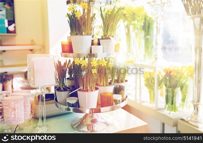 business, sale and floristry concept - narcissus flowers on stand at flower shop. narcissus flowers on stand at flower shop