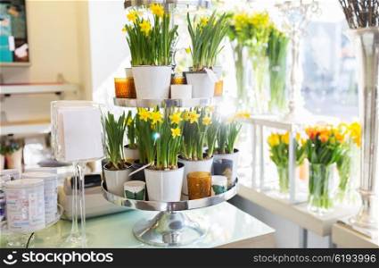 business, sale and floristry concept - narcissus flowers on stand at flower shop