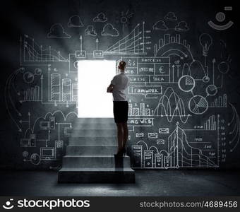 Business solution. Silhouette of businesswoman with briefcase standing in doorway