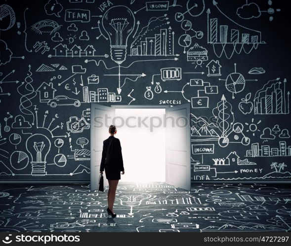 Business solution. Silhouette of businesswoman with briefcase standing in doorway