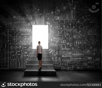 Business solution. Silhouette of businesswoman with briefcase standing in doorway
