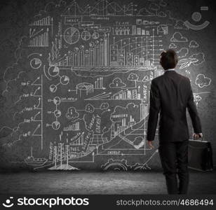 Business strategy. Rear view of businessman looking at chalk sketches on wall