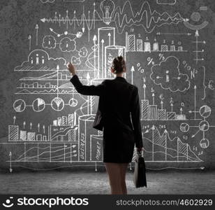 Business strategy. Rear view of businesswoman looking at business sketches on wall