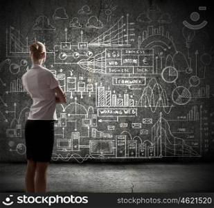 Business strategy. Rear view of businesswoman looking at business sketches on wall